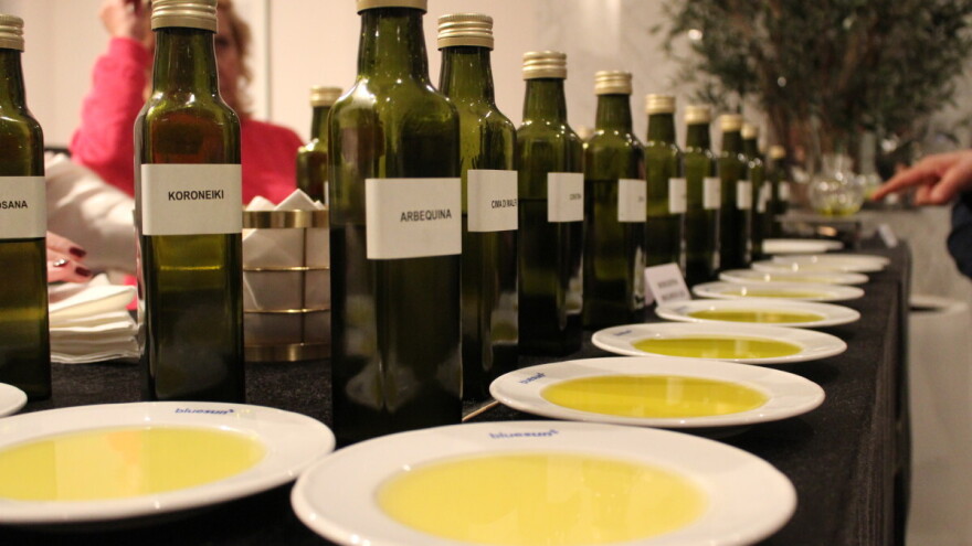 Noćnjak 2026: Prijavite uzorke, susret maslinara i uljara ove godine u Dubrovniku