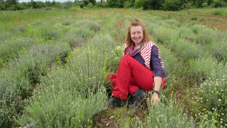 Švajcarkinja stažira na permakulturnoj farmi blizu Mostara - u BiH vidi veliki potencijal
