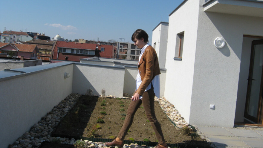 Kad vam je bašta &quot;na vrh&quot; glave