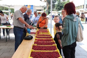 Dani maline: Prezentirana ideja osnivanja centra za ruralni razvoj