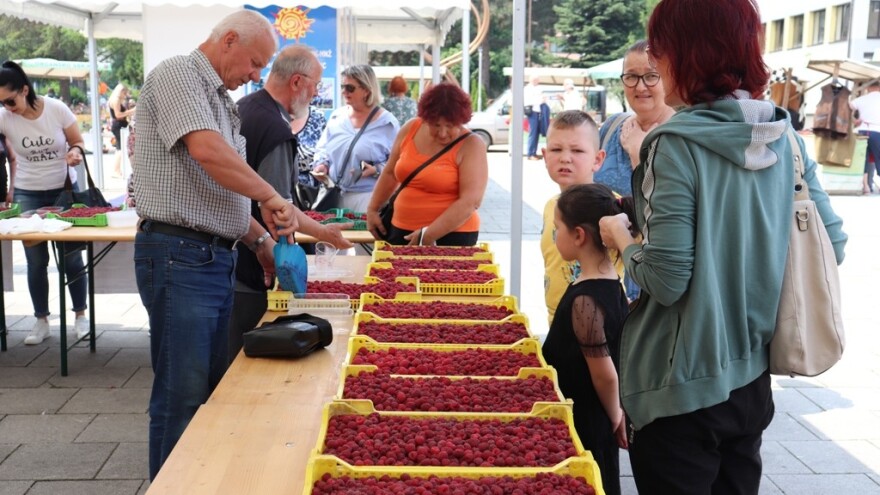 Dani maline: Prezentirana ideja osnivanja centra za ruralni razvoj
