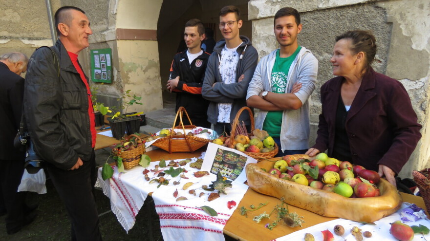 I školarci cijepe, sade i čuvaju stare sorte voća: Fabijan, Mateo i Adam već su sad pravi znalci