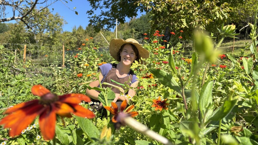 Sporim cvijećem do održivog cvjećarstva