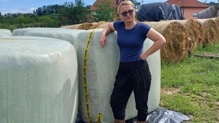 Novaković: Krava ne zna kada je Božić, a kad Dan veterinara