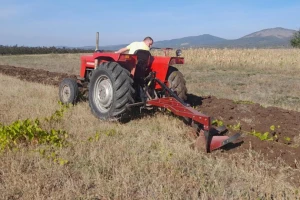 Kako pripremiti zemljište za setvu ozimih žita?