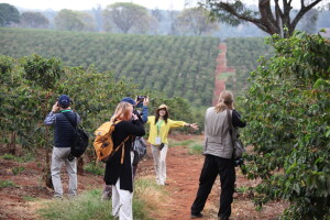 Kako izgledaju plantaže kafe? Evo kako se proizvodi sirovina za naš omiljeni napitak
