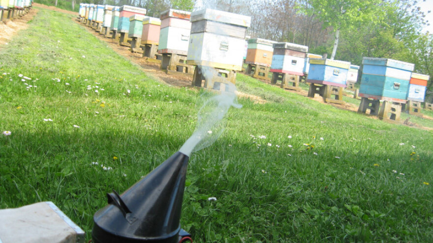 Pčelarenje u Šumadiji puno problema