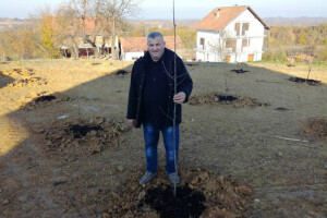 Aleksandar Šljivar  zasadio voćnjak autohtonog voća