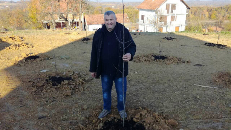 Aleksandar Šljivar  zasadio voćnjak autohtonog voća