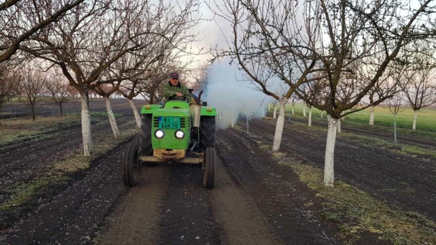 Zoltan Lener sa svojim patentom spasao stabla od izmrzavanja