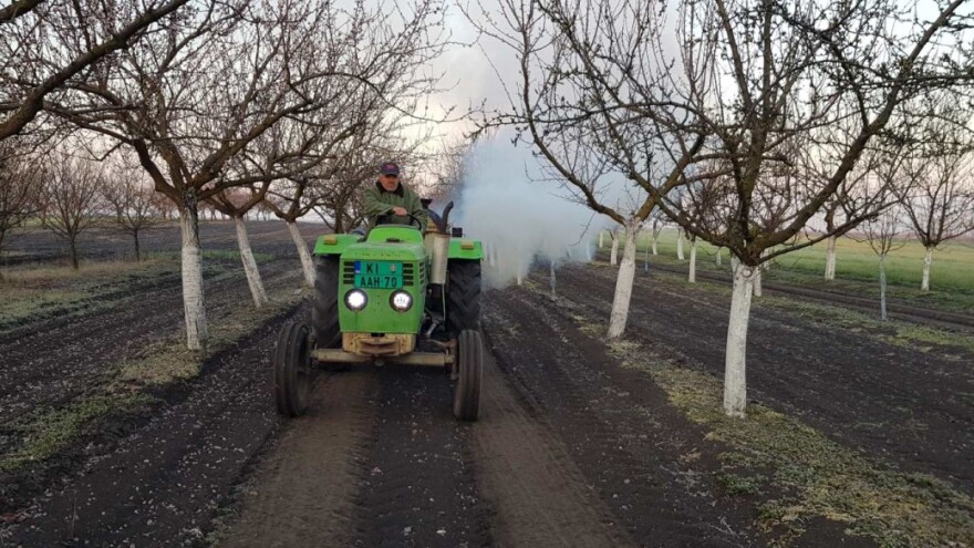 Zoltan Lener sa svojim patentom spasao stabla od izmrzavanja