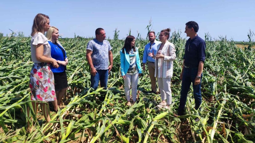 U sremskoj opštini krenule prijave za novčanu pomoć zbog posledica nevremena