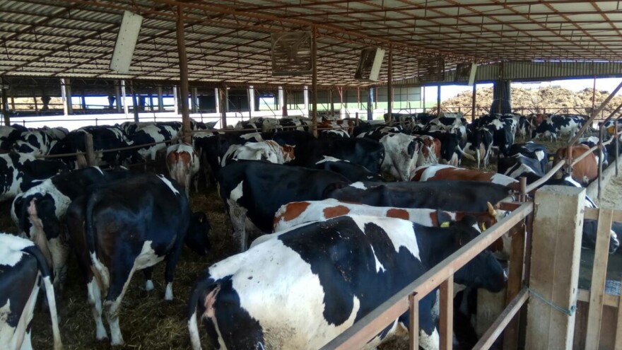 Nedimović: Na jesen više zemljišta stočarima