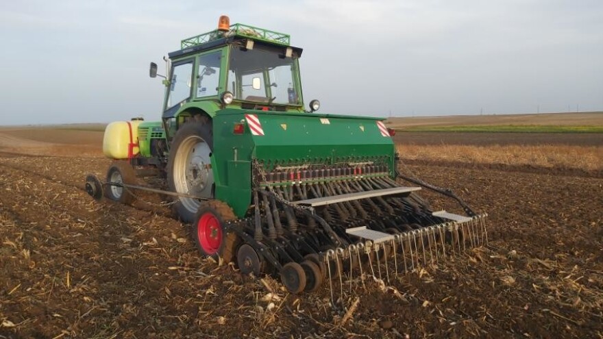 Setva pšenice se privodi kraju - rod tavanskog semena može da iznenadi?