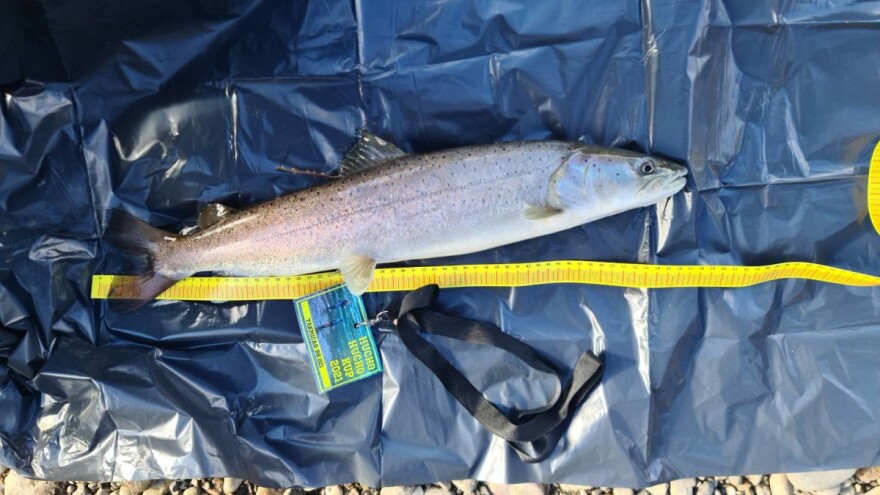 Banjalučanin jedini osvojio "kraljicu drinskih dubina", Pribojac i Čačanin izvučeni "iz šešira"