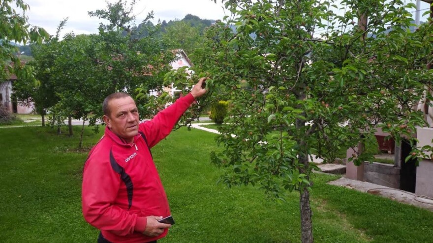 Ivan Kurevija: Voćnjak održavam uz stručnu pomoć brata i njegovih savjeta