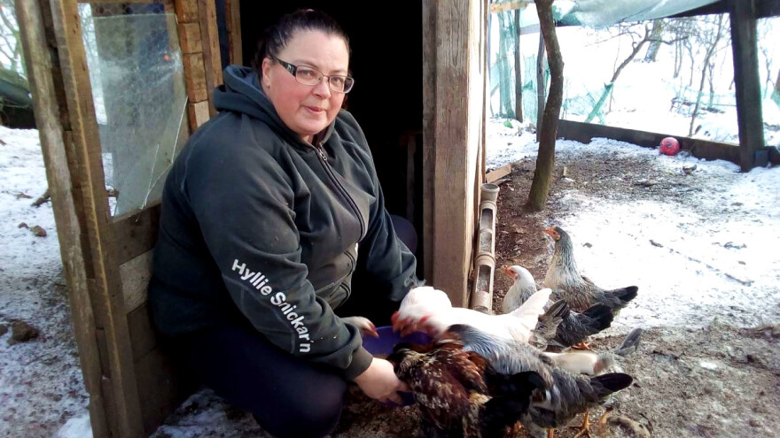 Vlasnica farme na kojoj koke ne nose jaja: One se čak ni ne razmnožavaju