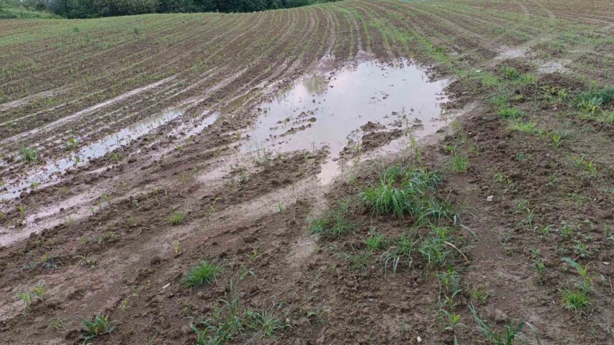 Loše vijesti za poljoprivrednike: Obilne padavine sredinom sedmice
