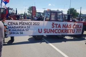 Cijena pšenice "sahranila" poljoprivredu, proizvođači traže Vučića