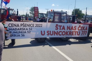 Srpski ratari prosvjeduju zbog cijene pšenice, na ulicama gotovo 300 traktora