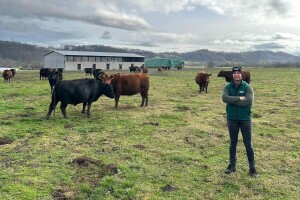 Od pašnjaka do vrhunskog mesa: Zašto su Pešići odlučili da gaje angus goveda?