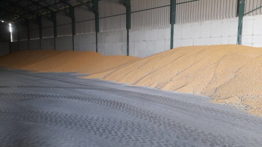 Ove nedelje trgovalo se samo pšenicom - 19 dinara za kilogram