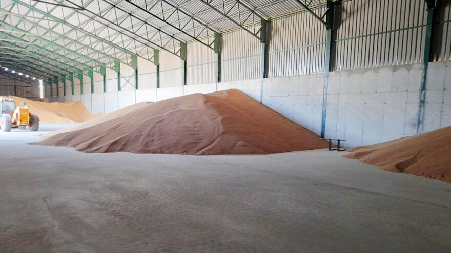 Ukinuta zabrana izvoza pšenice i kukuruza iz Srbije