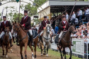 Tisuće posjetitelja pohodilo jubilarnu 50. Trku na prstenac u Barbanu