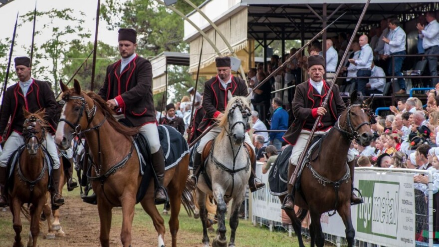 Tisuće posjetitelja pohodilo jubilarnu 50. Trku na prstenac u Barbanu