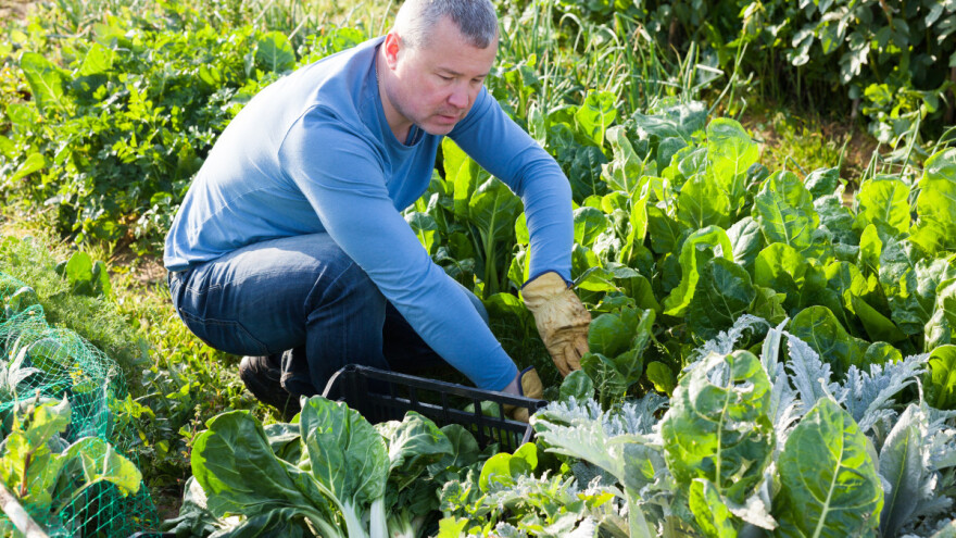 Uredba o eko proizvodnji prolongirana za još jednu godinu