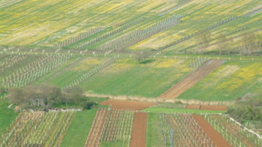 Projekt navodnjavanja Imotskog polja