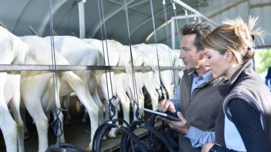 Besplatne radionice iz pripreme ruralnih projekata!