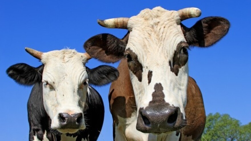 SMŽ ima recept za održivu poljoprivredu