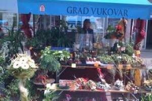 Ponešto za svačiji vrt i džep