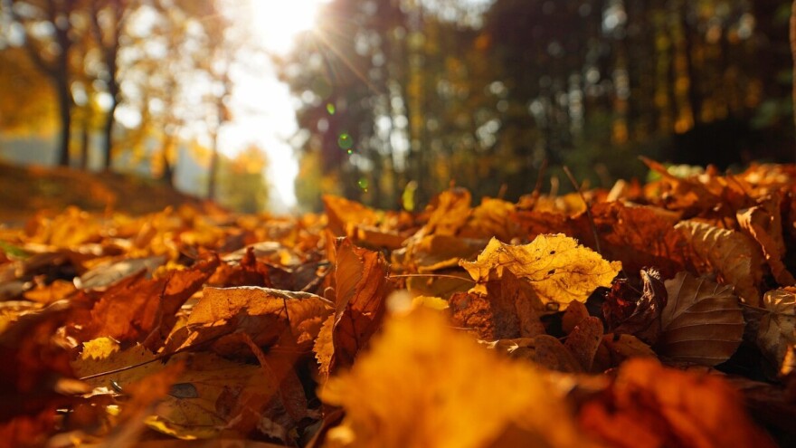 Hoćemo li sa babljim ljetom ući i u novembar?