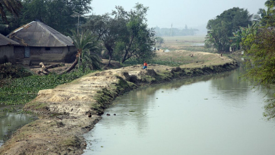 Božica Bonbibi održava ravnotežu šume i ljudi