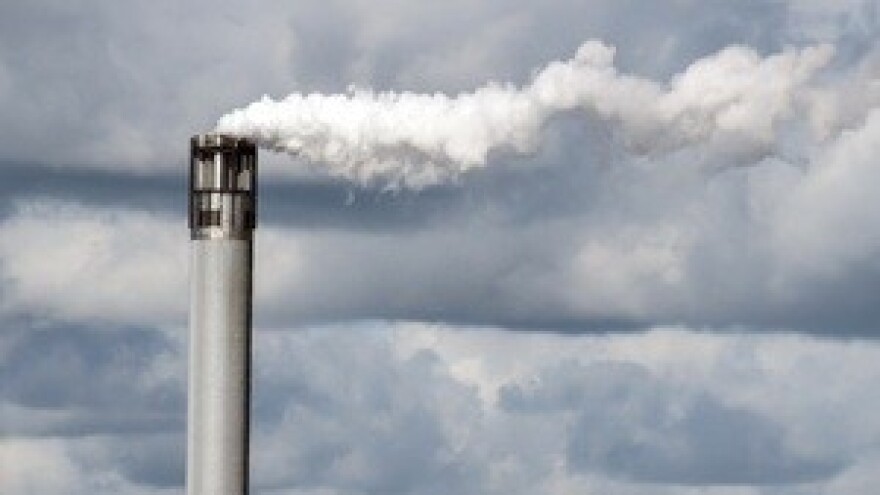 Hitna privatizacija Petrokemije