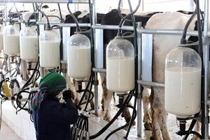 30.000 radnih mjesta visi o koncu