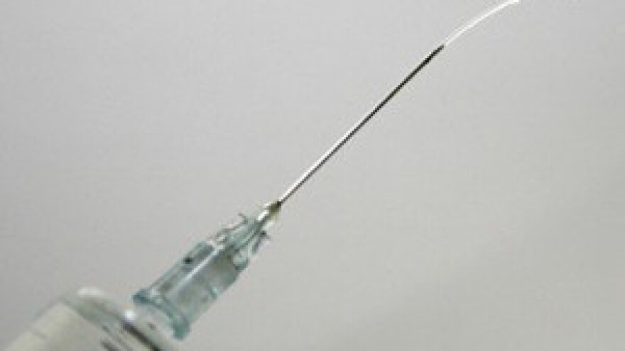 Svjetski dan borbe protiv bjesnoće