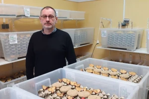 Prvo evropsko pivo od cvrčaka napravljeno u Hrvatskoj