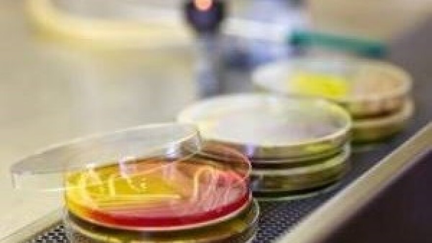 MP preuzima poslove Državnog inspektorata