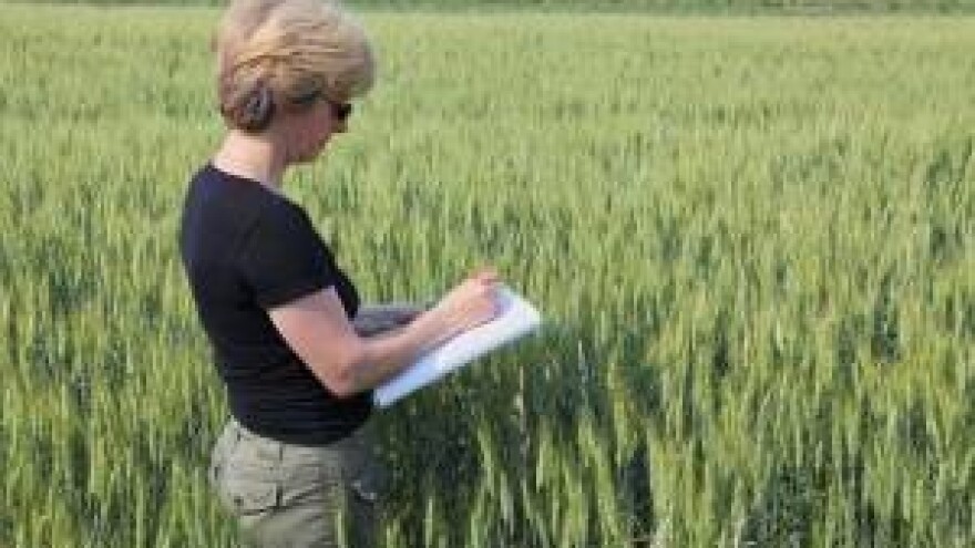 2,6 milijuna kuna nezakonito ostvarenih potpora?