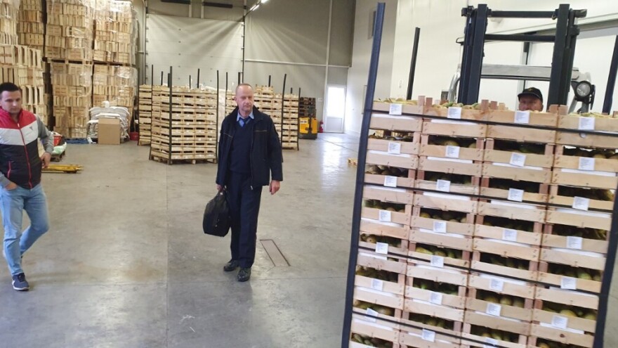 Inspekcijski nadzor izvršen: Za Rusiju spremno gotovo 2,5 hiljade tona jabuka i krušaka