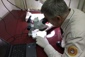 Inspekcija zabranila uvoz za 28 pošiljki hrane