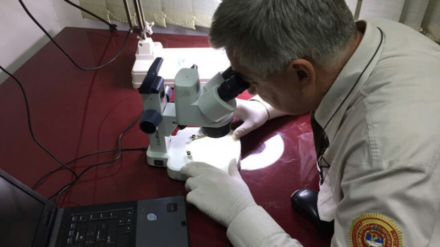 Inspekcija zabranila uvoz za 28 pošiljki hrane