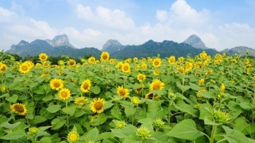 Prijave stručnog nadzora integrirane proizvodnje