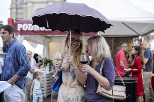 Festival vina i gastronomskih specijaliteta u Novom Sadu