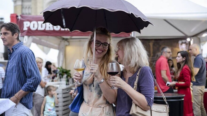 Festival vina i gastronomskih specijaliteta u Novom Sadu