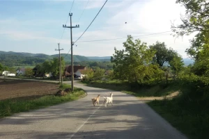Sledeće godine u ruralnim naseljima - internet za 90.000 domaćinstava