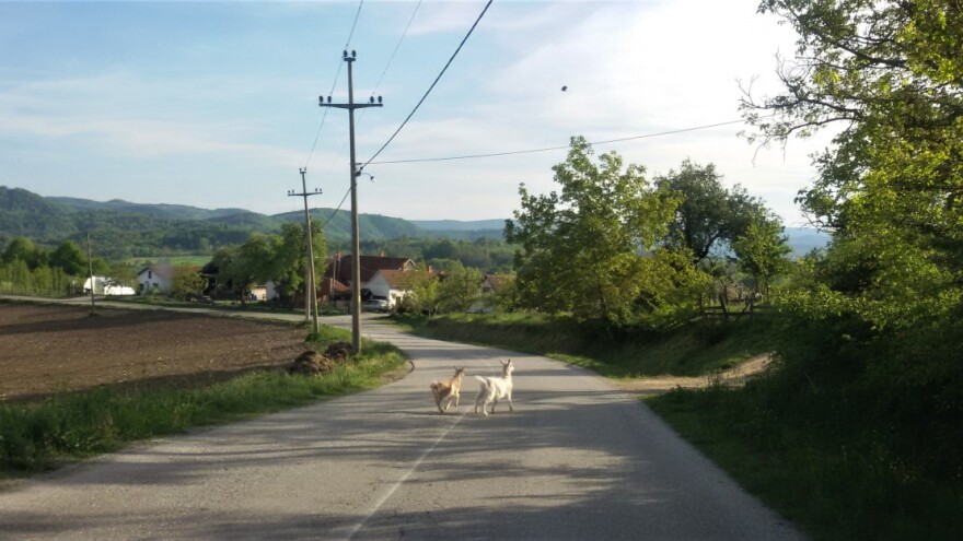 Sledeće godine u ruralnim naseljima - internet za 90.000 domaćinstava